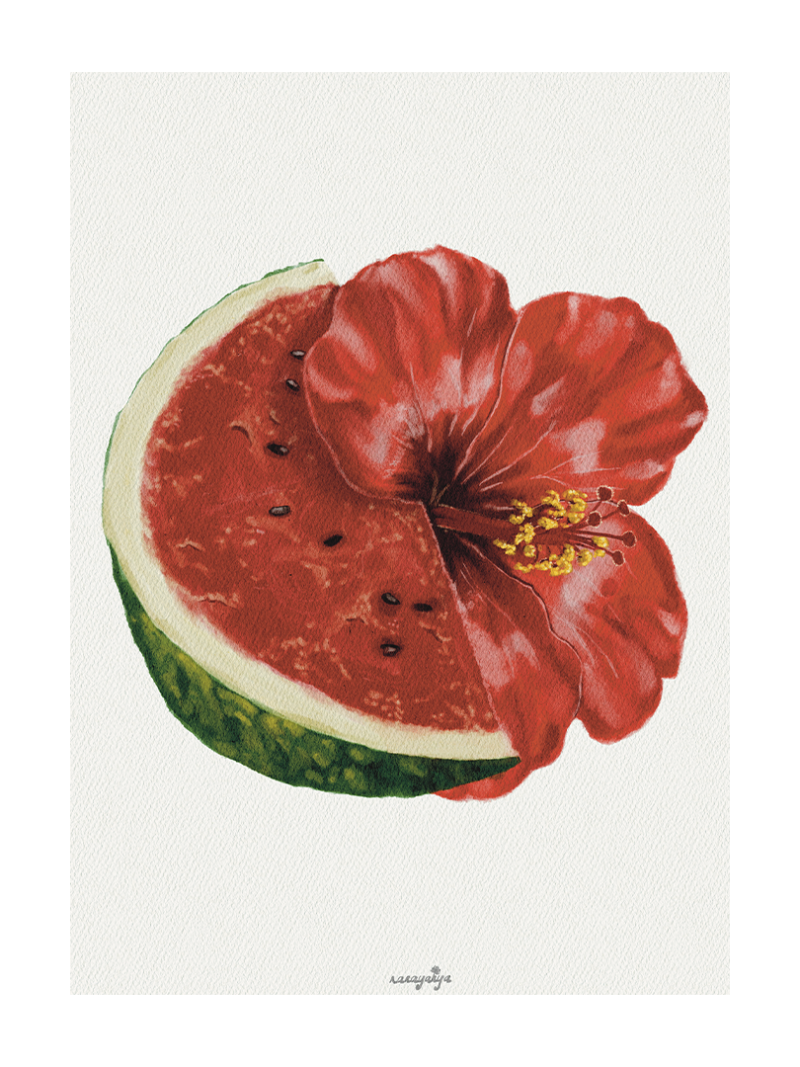 Watermelon & Hibiscus