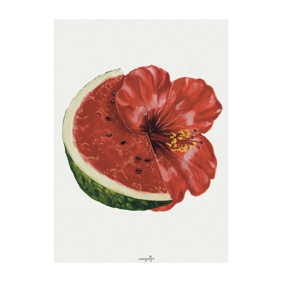 Watermelon & Hibiscus