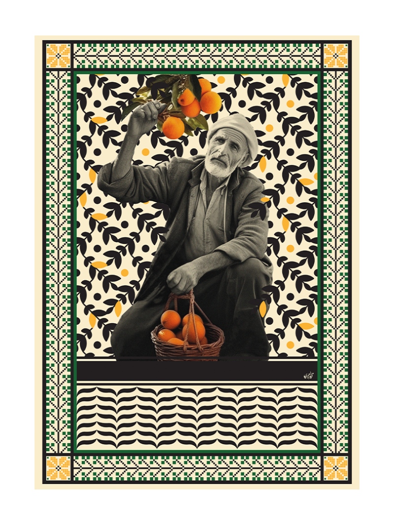 أرض البرتقال  Land of Oranges