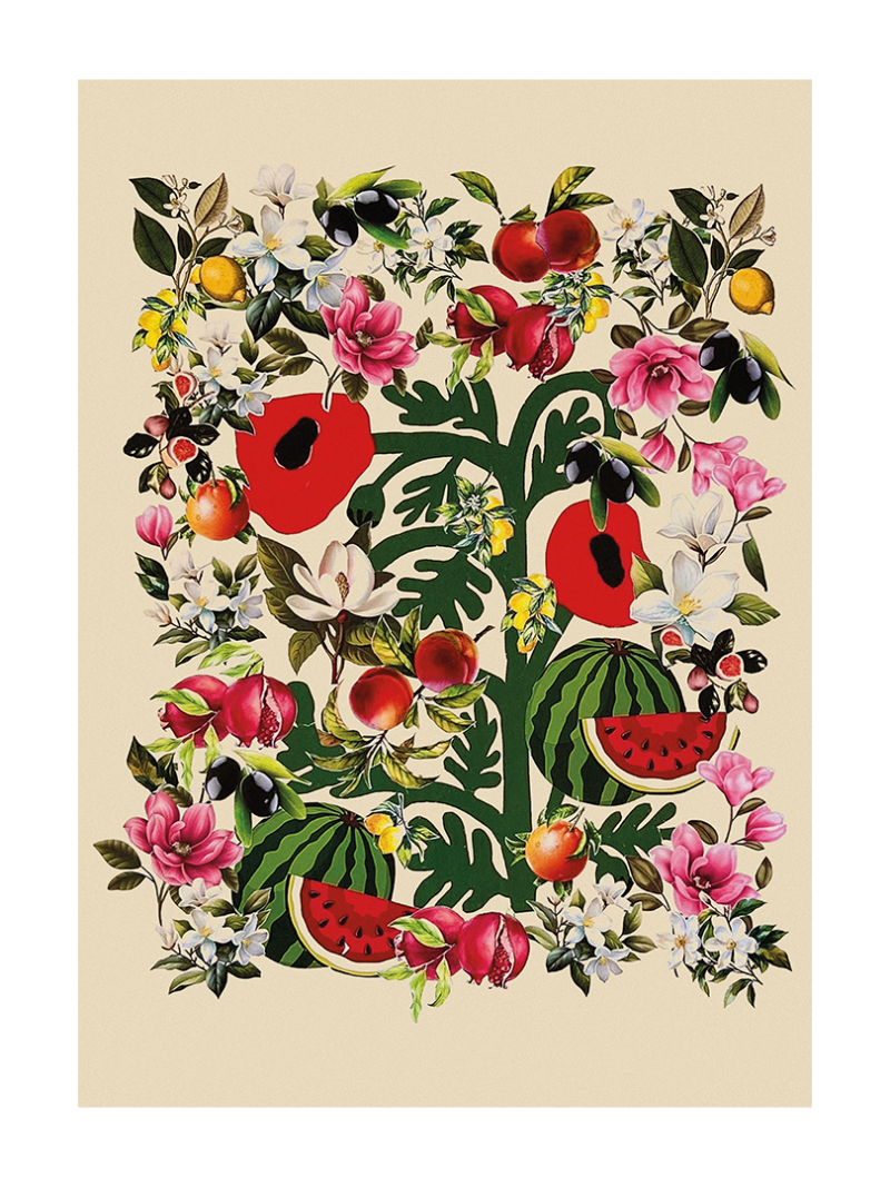 Pomegranate & Flowers