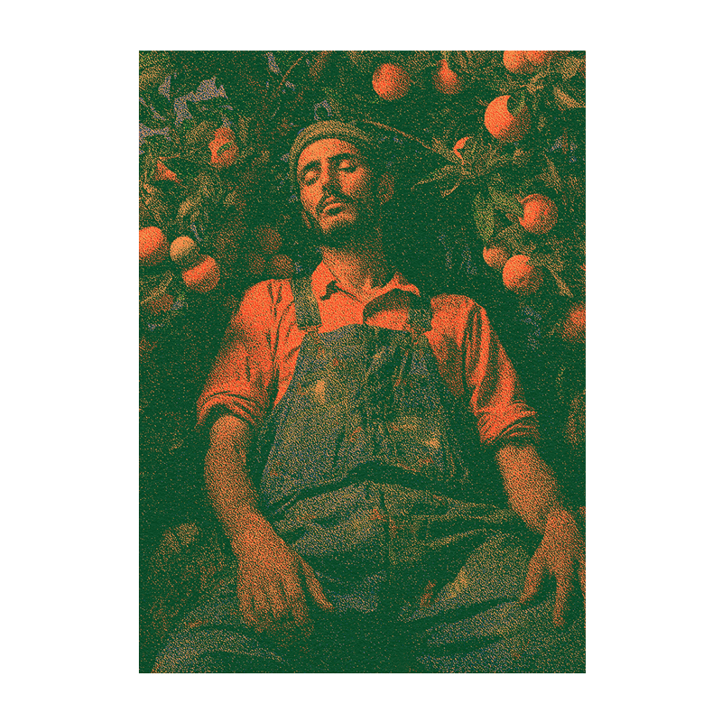 The Land of Oranges